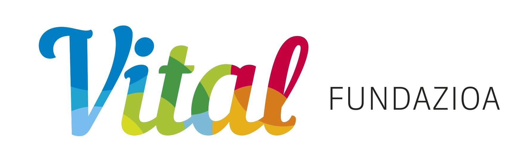 Fundación Vital